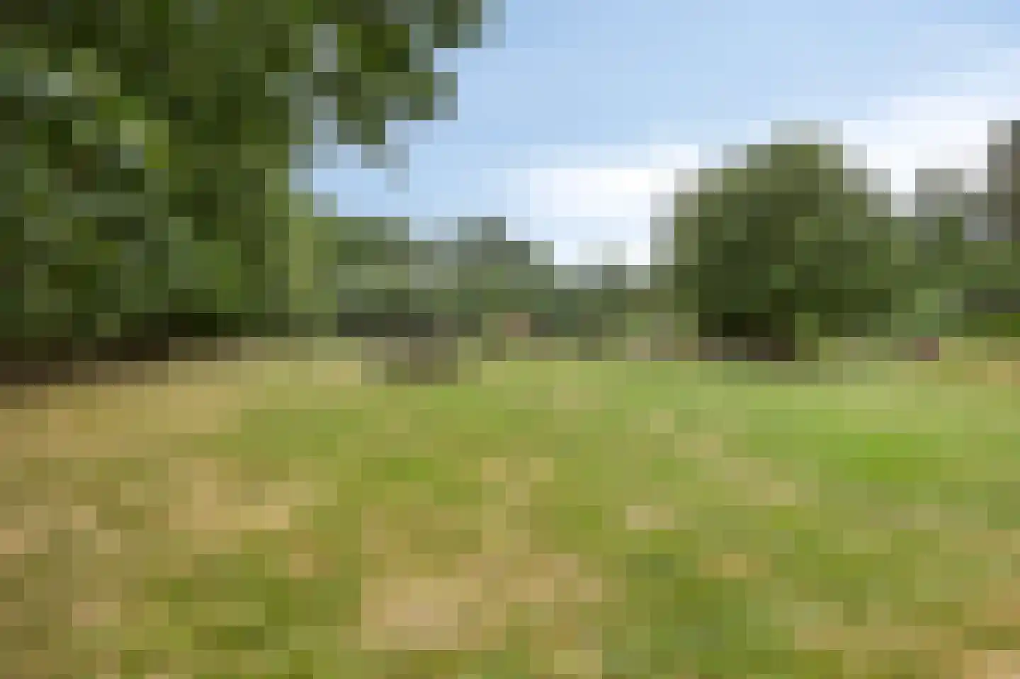 Wanroijseweg 6 Boekel thumbnail 77