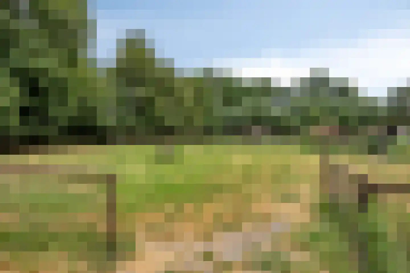 Wanroijseweg 6 Boekel thumbnail 78