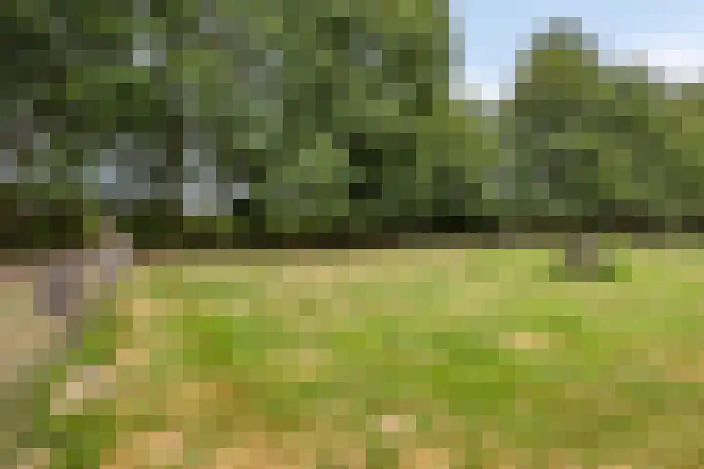 Wanroijseweg 6 Boekel thumbnail 79