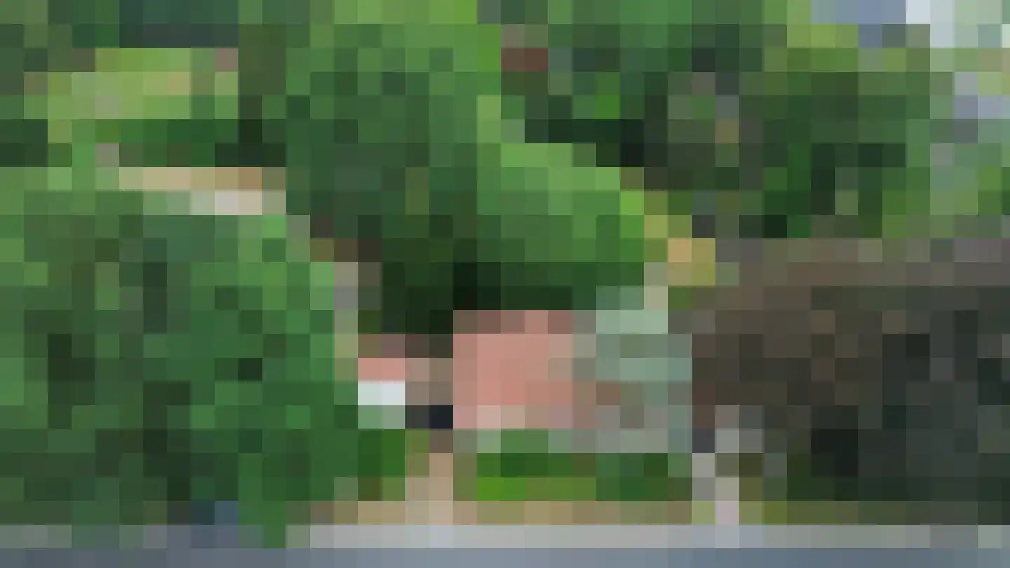 Wanroijseweg 6 Boekel thumbnail 8