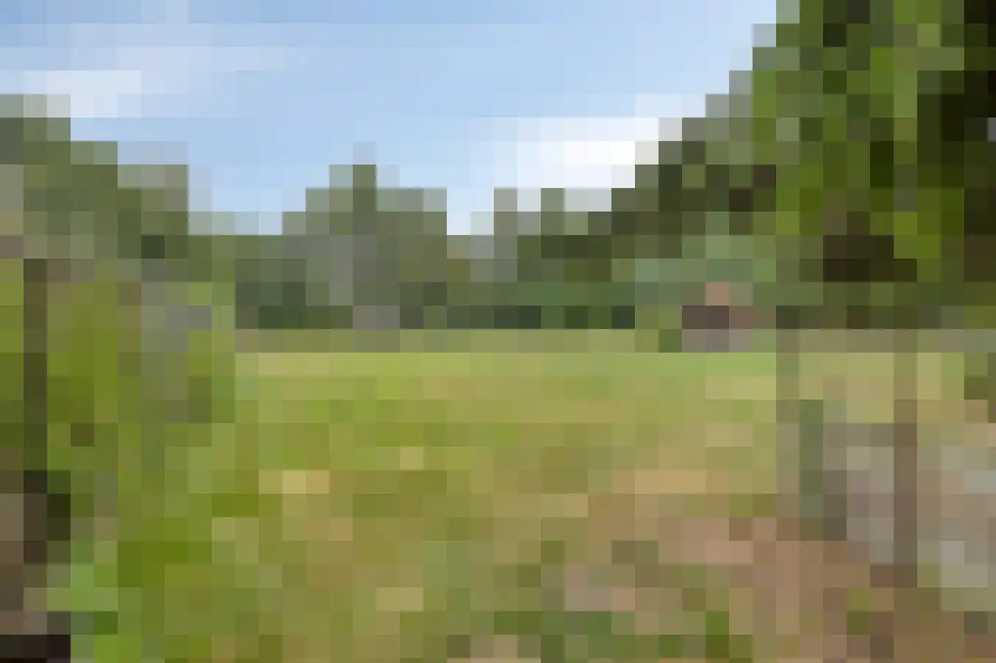 Wanroijseweg 6 Boekel thumbnail 80