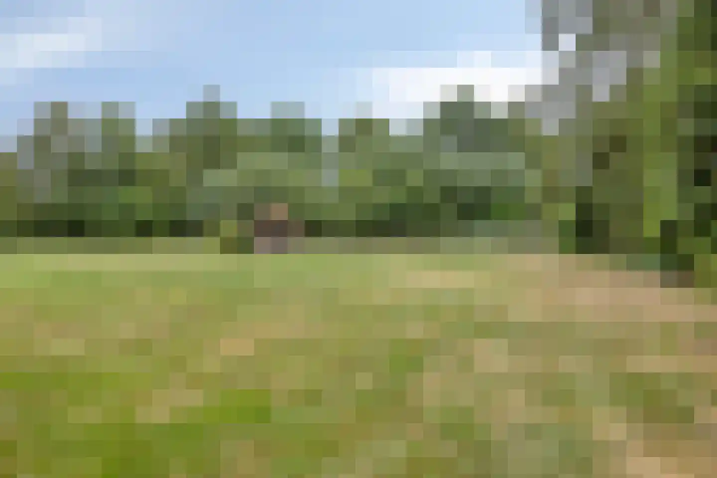 Wanroijseweg 6 Boekel thumbnail 81