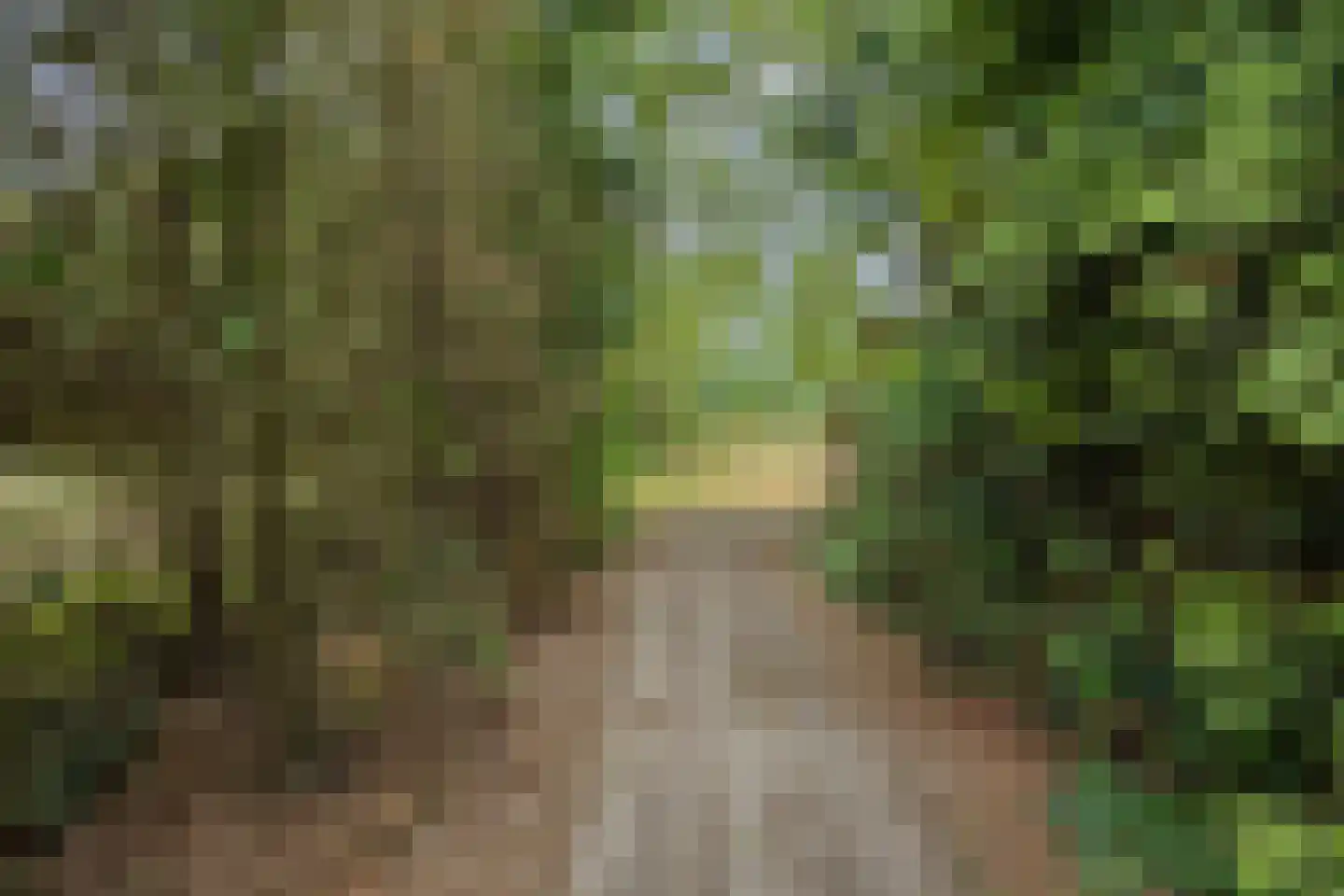 Wanroijseweg 6 Boekel thumbnail 82