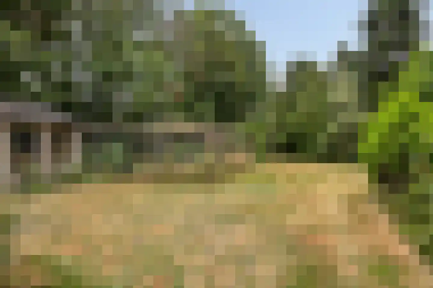 Wanroijseweg 6 Boekel thumbnail 85