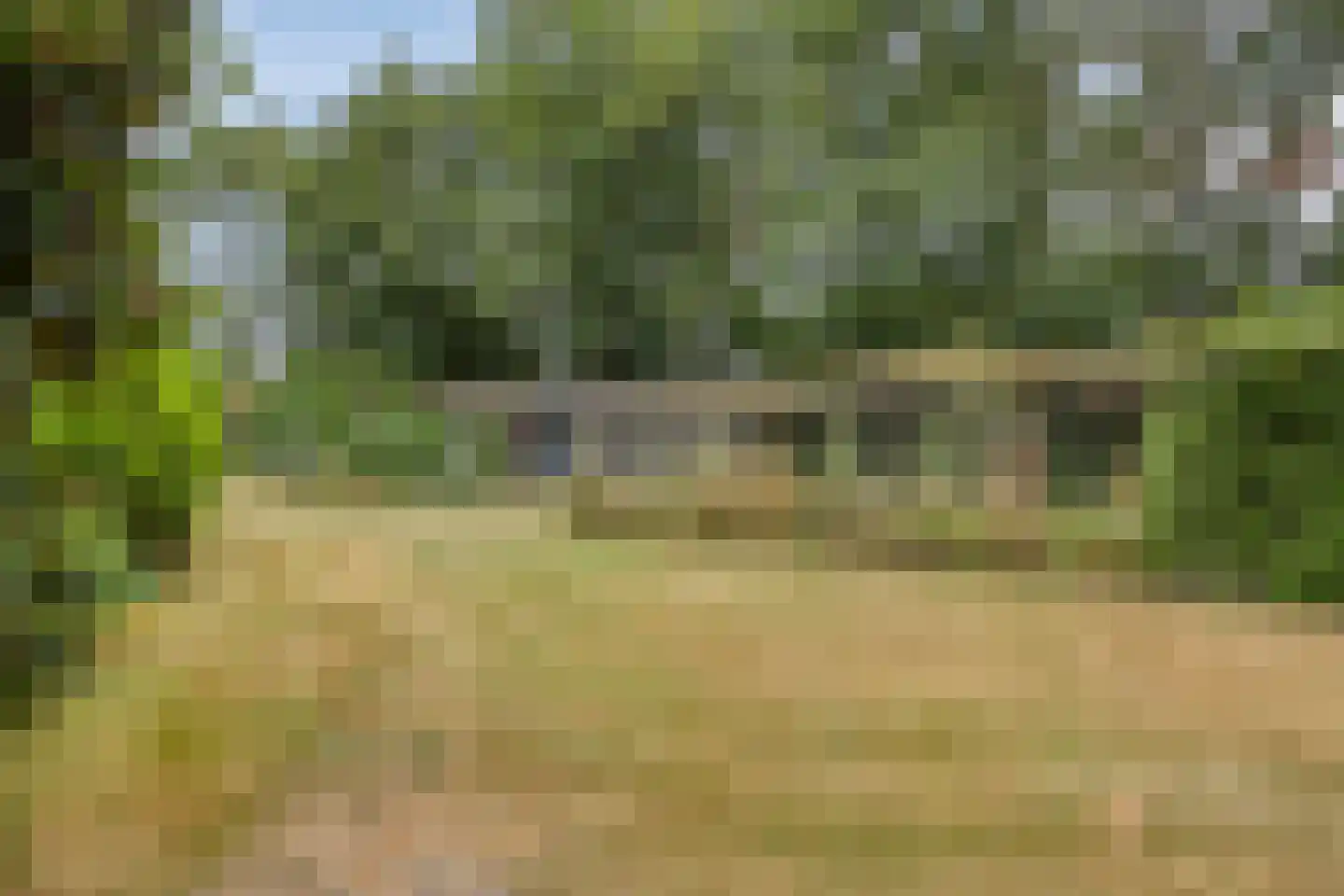 Wanroijseweg 6 Boekel thumbnail 86