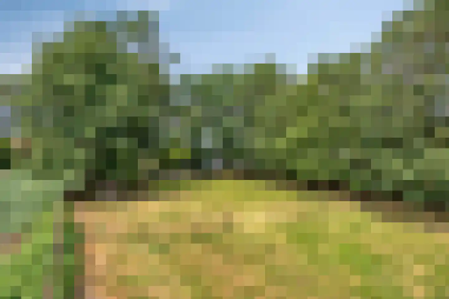 Wanroijseweg 6 Boekel thumbnail 87