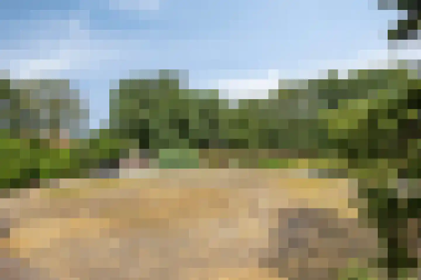 Wanroijseweg 6 Boekel thumbnail 88