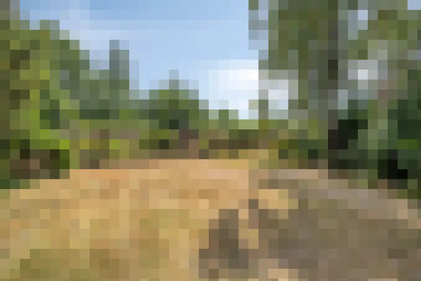 Wanroijseweg 6 Boekel thumbnail 89
