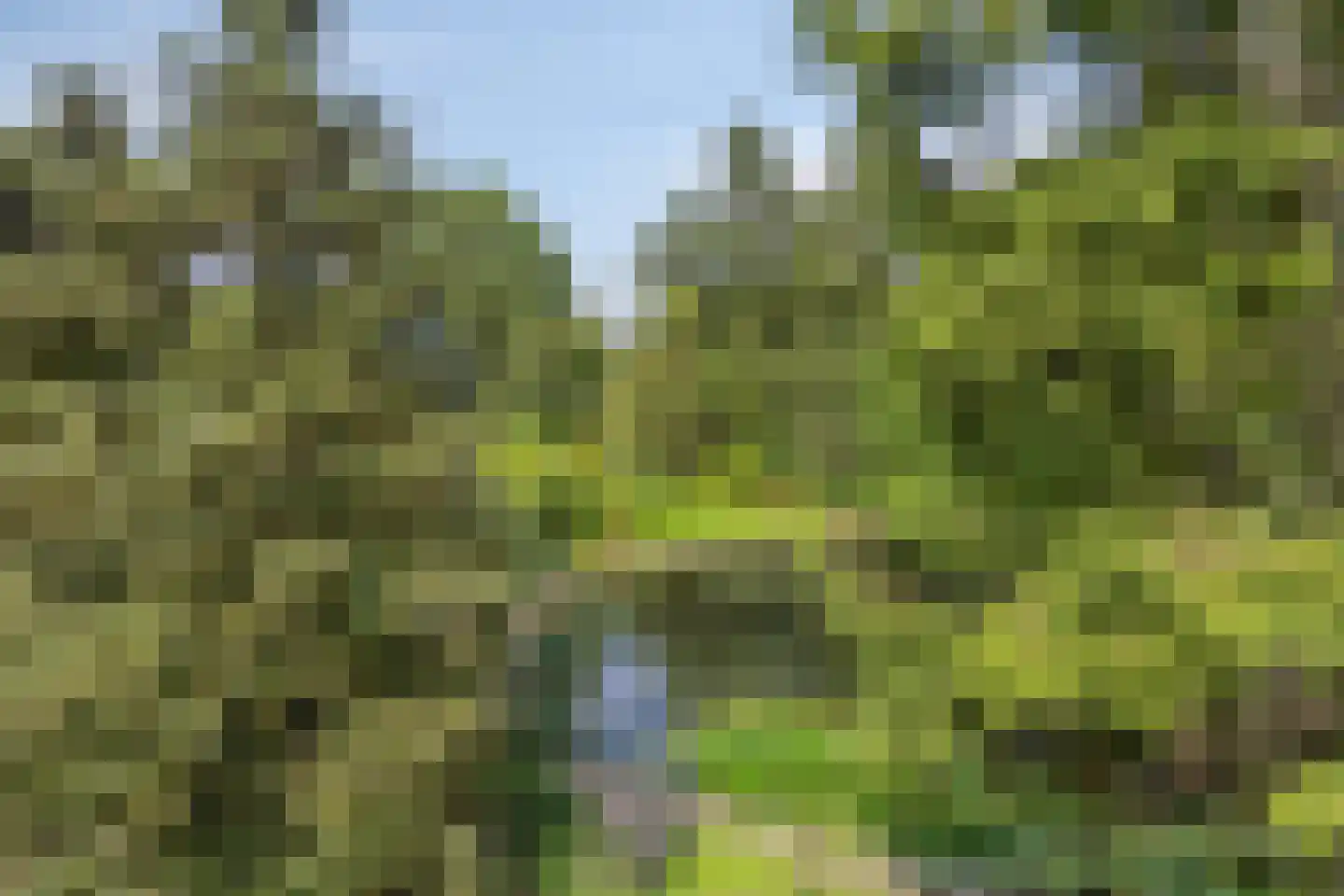 Wanroijseweg 6 Boekel thumbnail 91