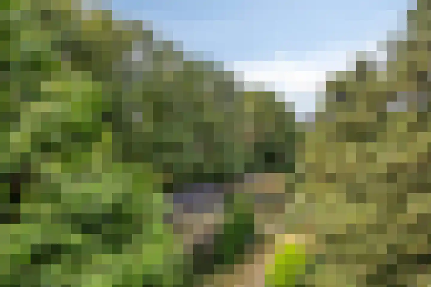 Wanroijseweg 6 Boekel thumbnail 92