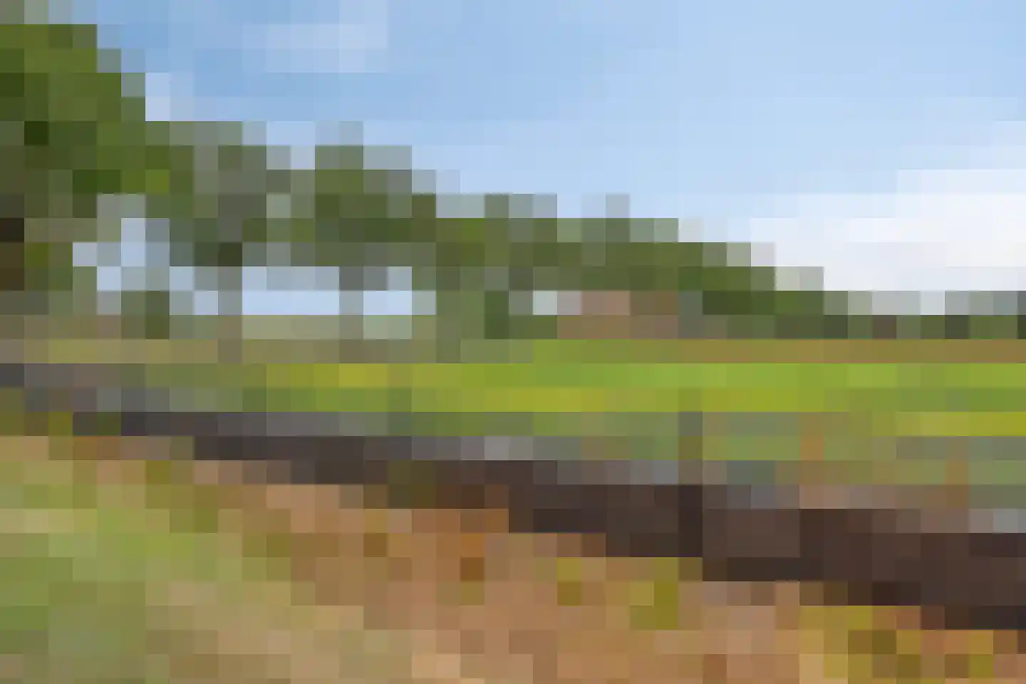 Wanroijseweg 6 Boekel thumbnail 93