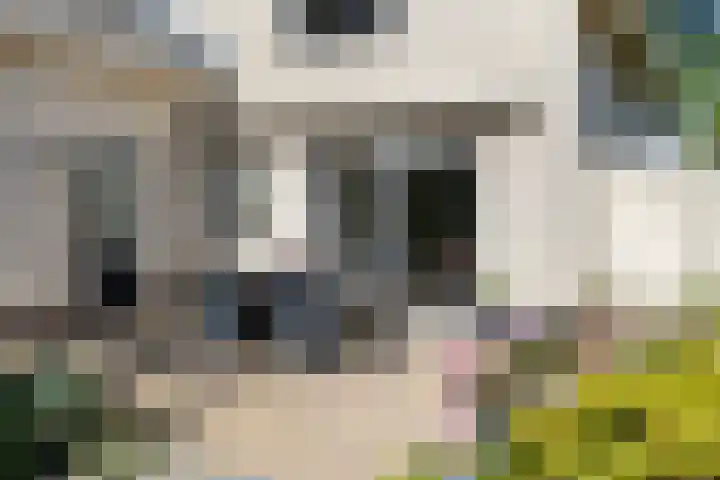 Wanschersweg 30 Almelo thumbnail 28