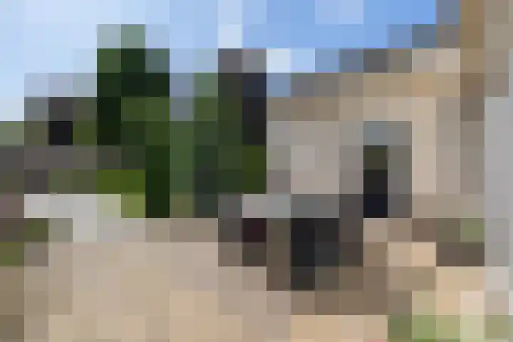 Wanschersweg 30 Almelo thumbnail 32