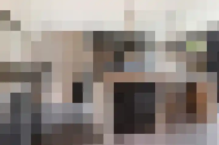 Wansink 13 Markelo thumbnail 6