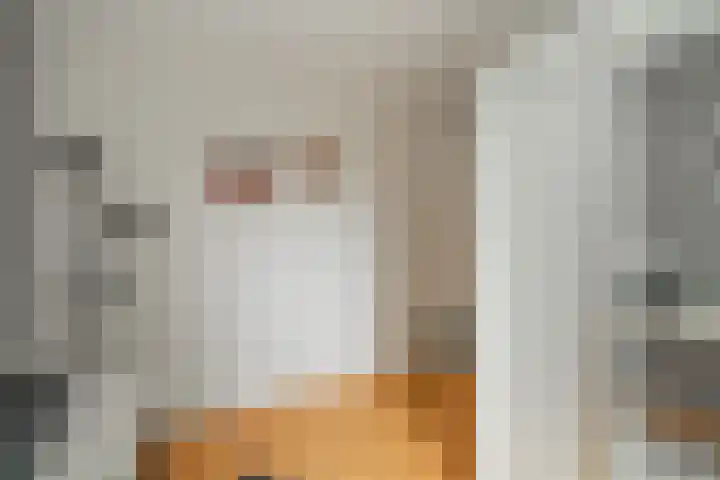 Wanstede 18 Vaassen thumbnail 13