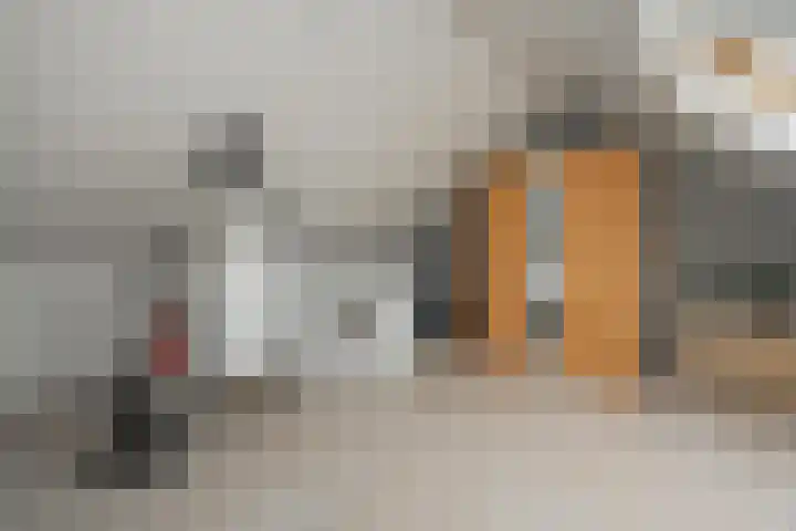 Wanstede 18 Vaassen thumbnail 18