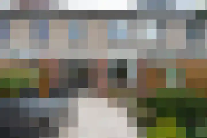 Wanstede 18 Vaassen thumbnail 20