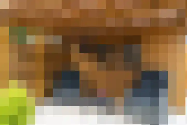 Wanstede 18 Vaassen thumbnail 22