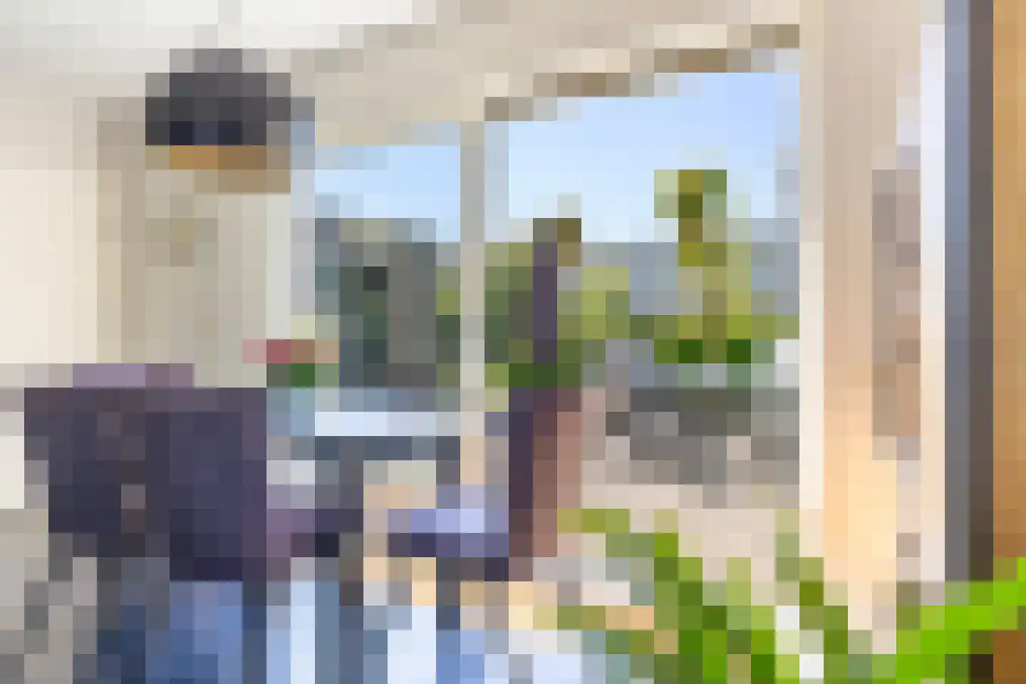 Wanstede 23 Vaassen thumbnail 13