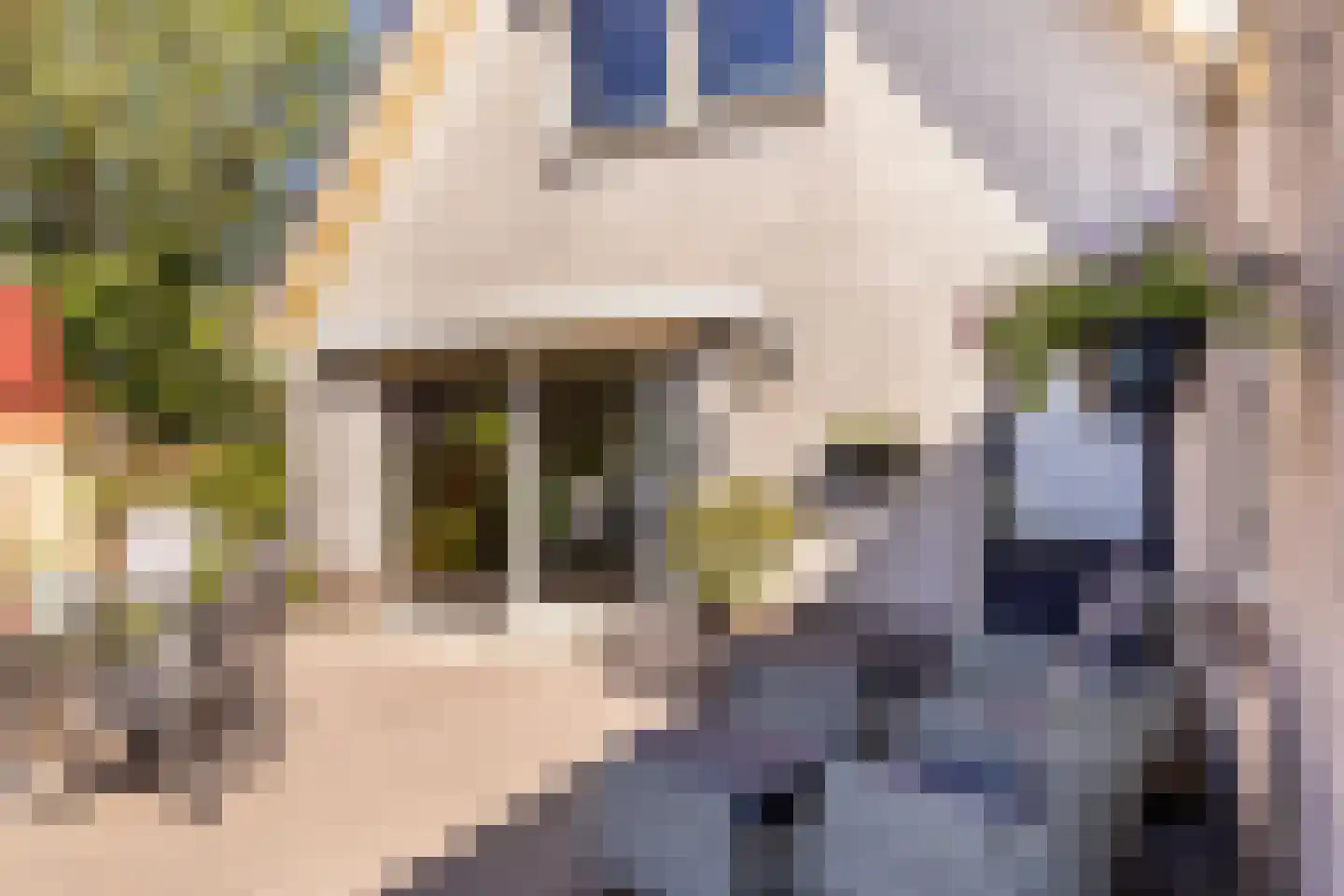 Wanstede 23 Vaassen thumbnail 31