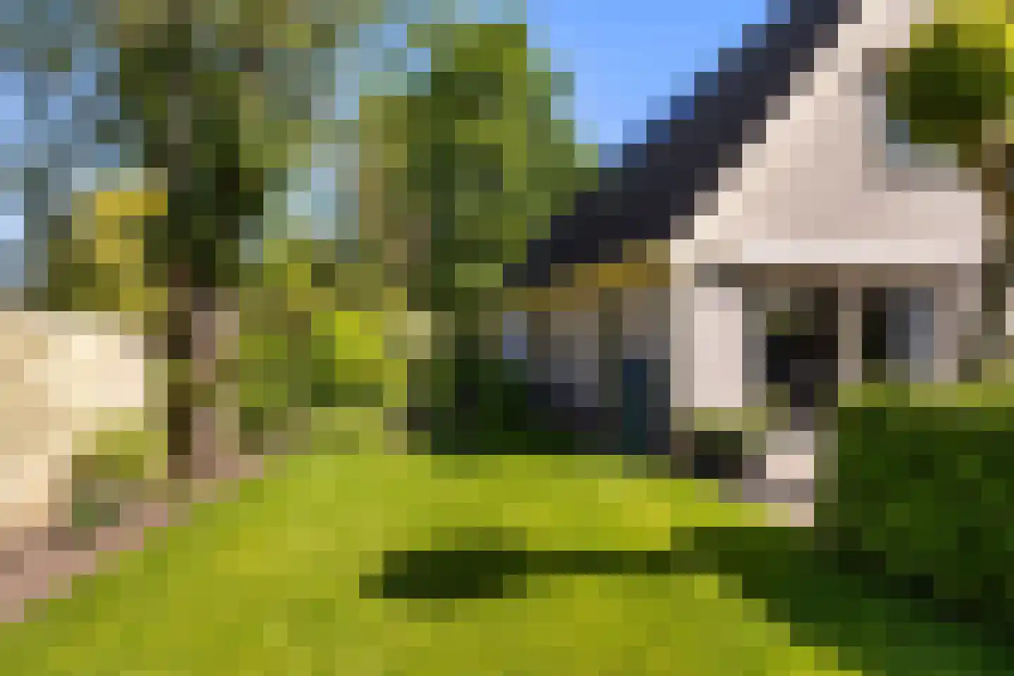 Wanstede 23 Vaassen thumbnail 36