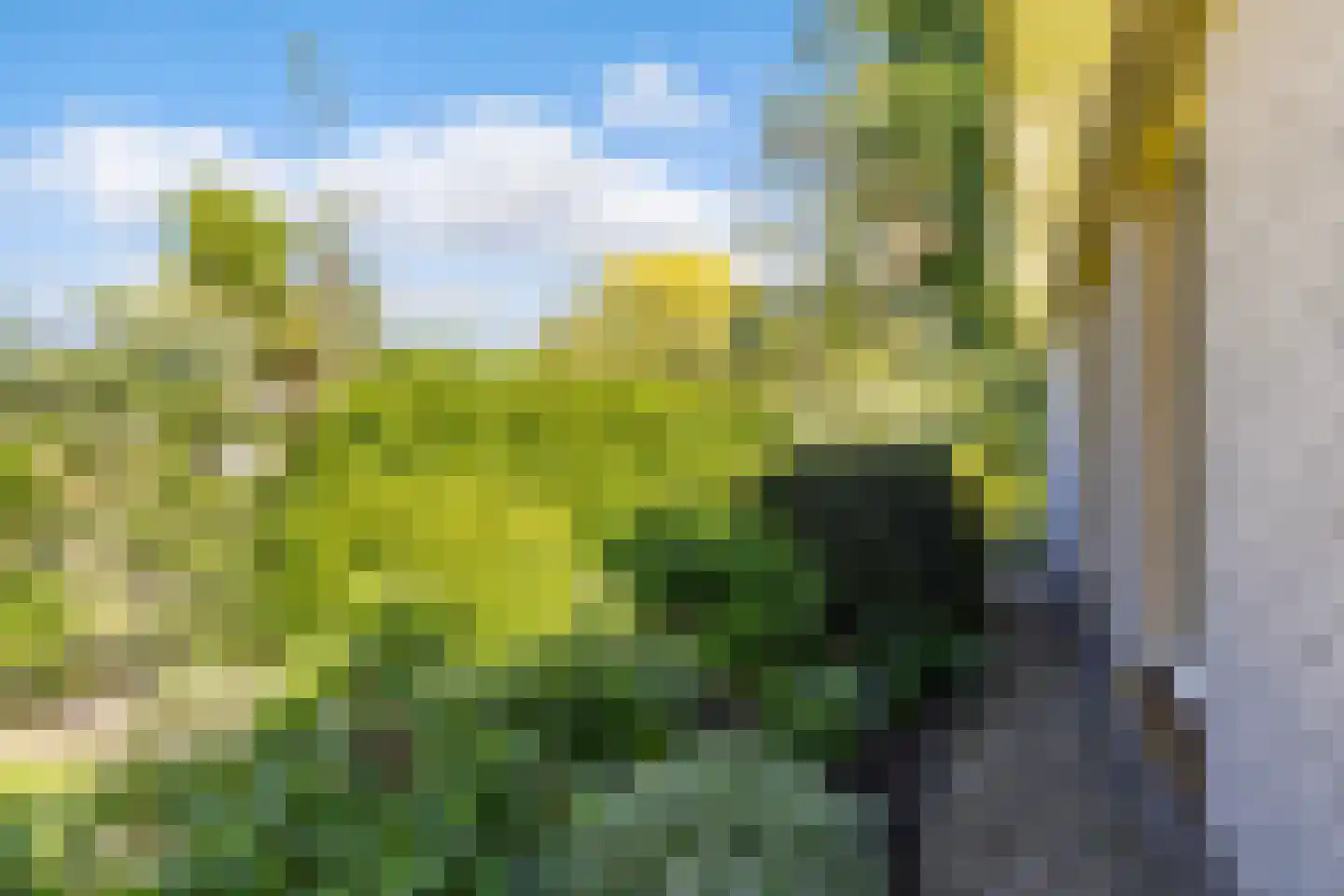 Wanstede 23 Vaassen thumbnail 37
