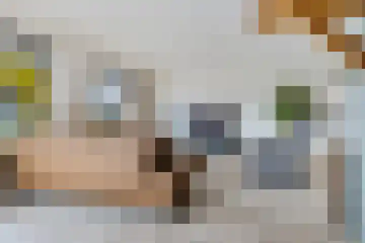 Wanstraat 59 Klijndijk thumbnail 9