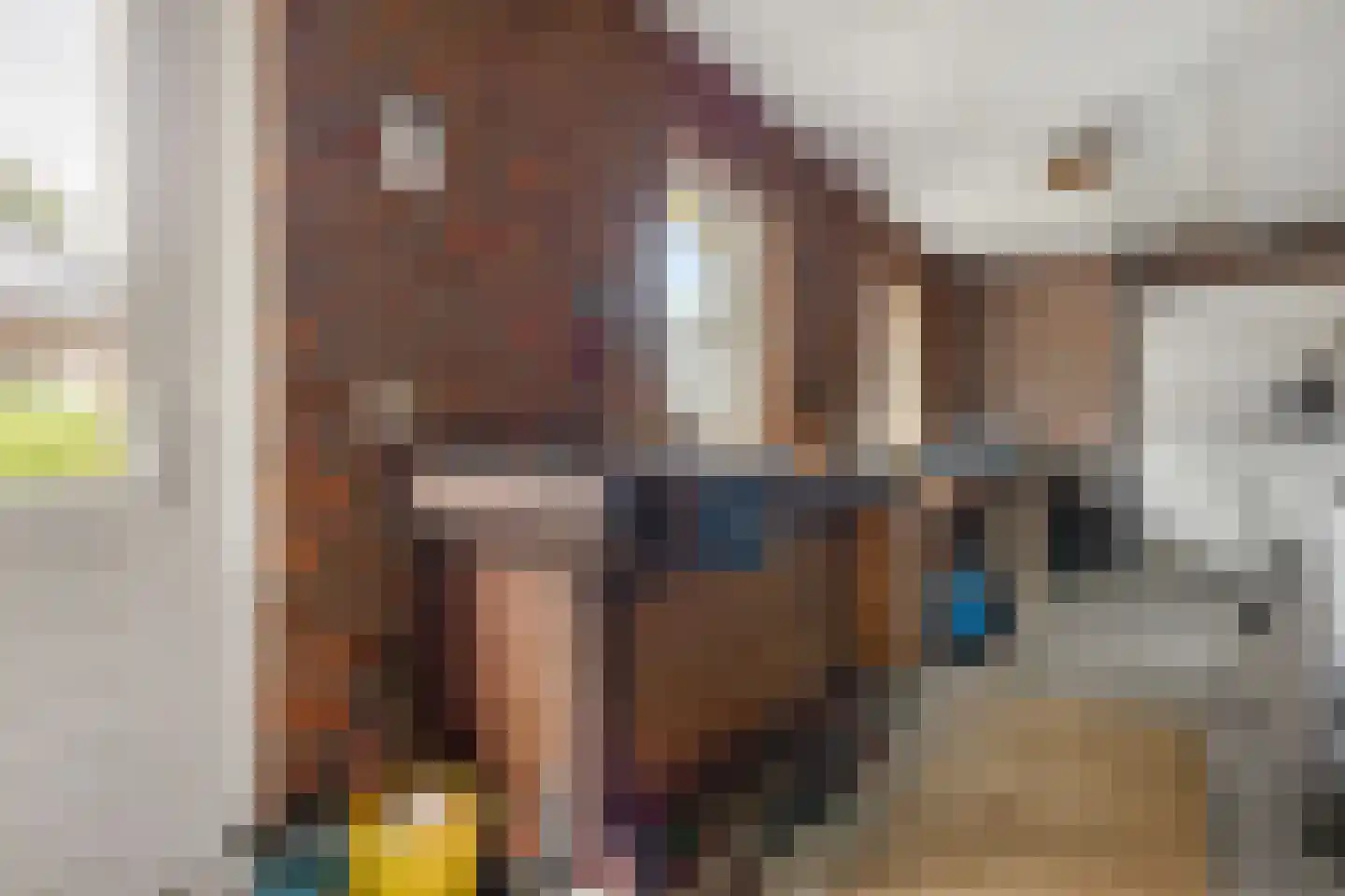 Wanstraat 73 Klijndijk thumbnail 20