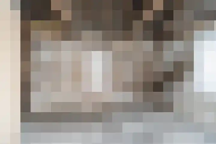 Wânswerterdyk 2 Burdaard thumbnail 12