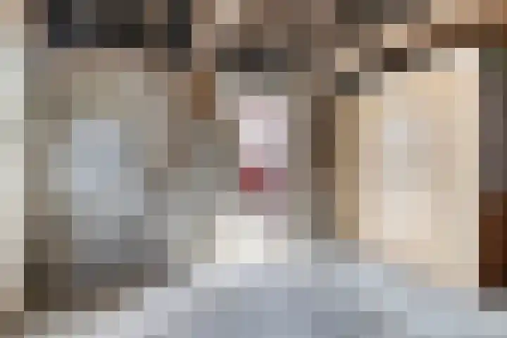 Wânswerterdyk 2 Burdaard thumbnail 13