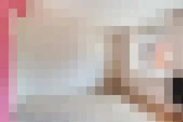 Wânswerterdyk 2 Burdaard thumbnail 15
