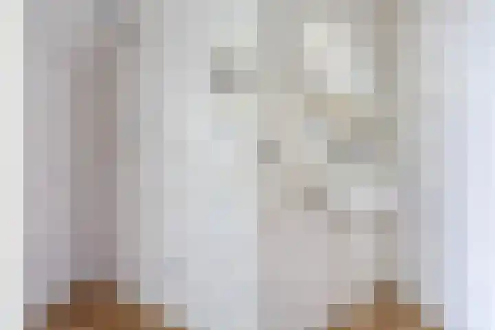 Wânswerterdyk 2 Burdaard thumbnail 16