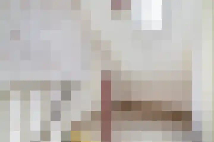 Wânswerterdyk 2 Burdaard thumbnail 17