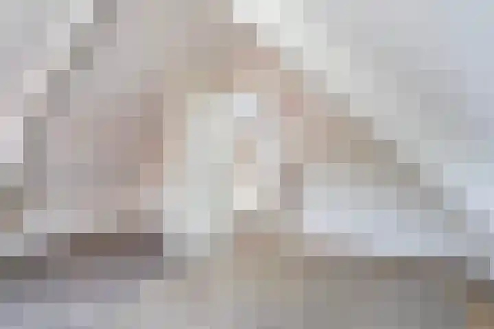 Wânswerterdyk 2 Burdaard thumbnail 18