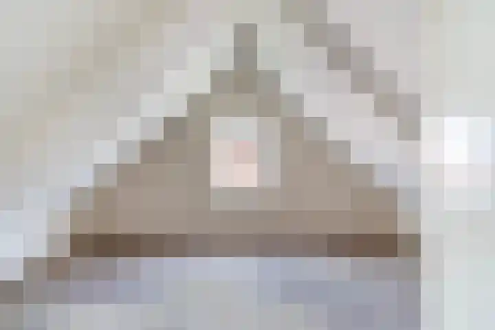 Wânswerterdyk 2 Burdaard thumbnail 19