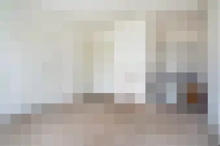Wânswerterdyk 2 Burdaard foto 2