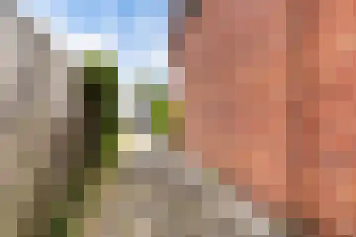 Wânswerterdyk 2 Burdaard thumbnail 20