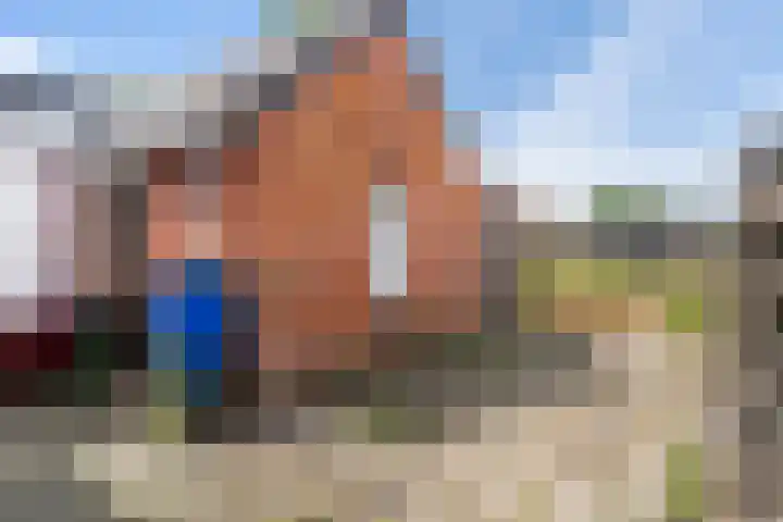 Wânswerterdyk 2 Burdaard thumbnail 21