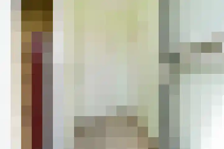 Wânswerterdyk 2 Burdaard thumbnail 6