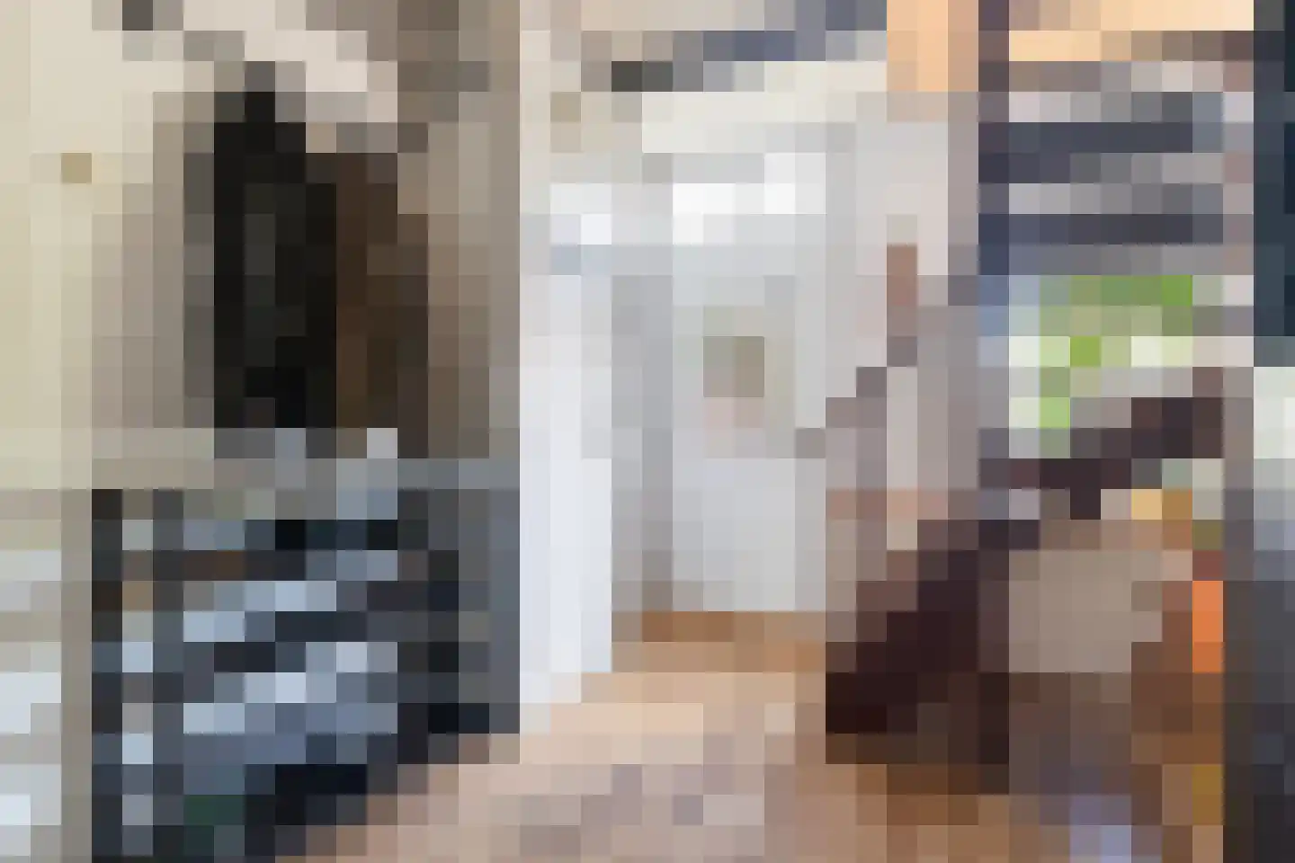 Wânswerterdyk 9 Burdaard thumbnail 10