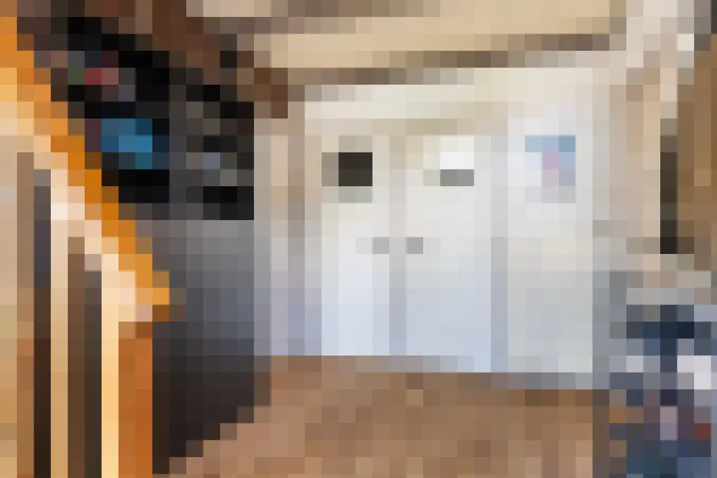 Wânswerterdyk 9 Burdaard thumbnail 11