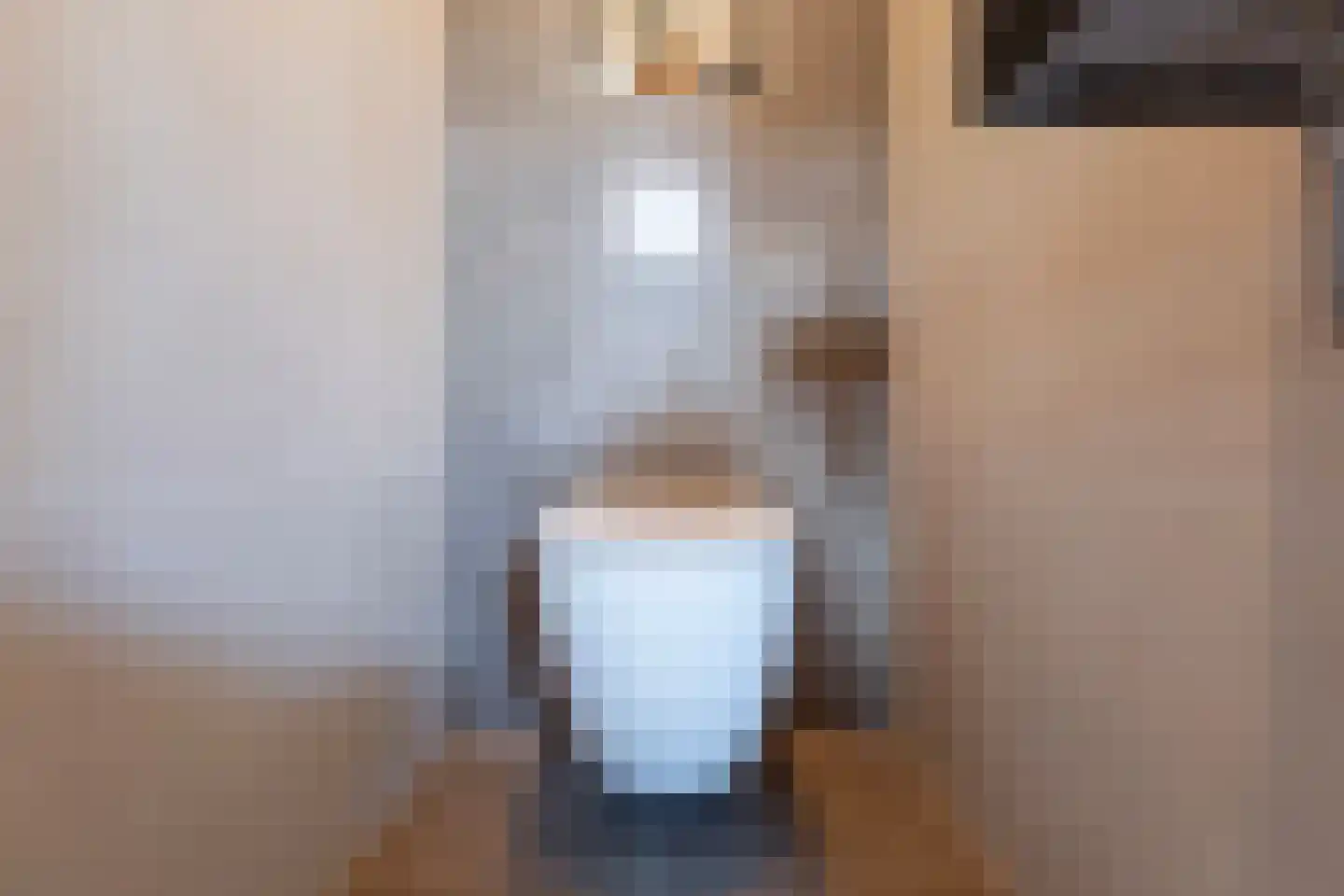 Wânswerterdyk 9 Burdaard thumbnail 12