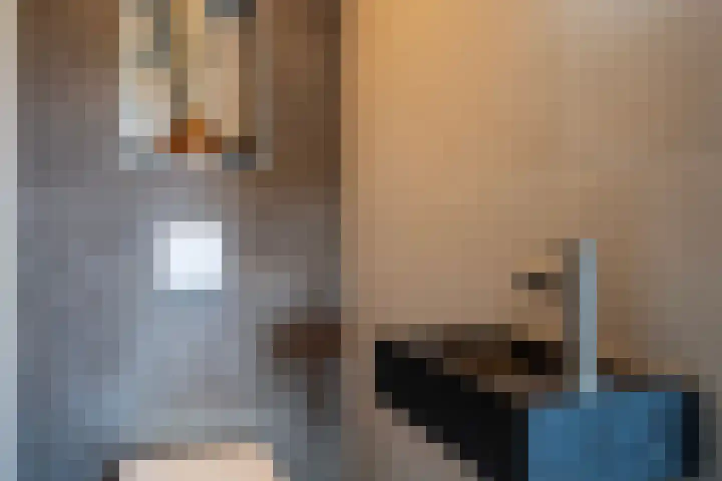 Wânswerterdyk 9 Burdaard thumbnail 13