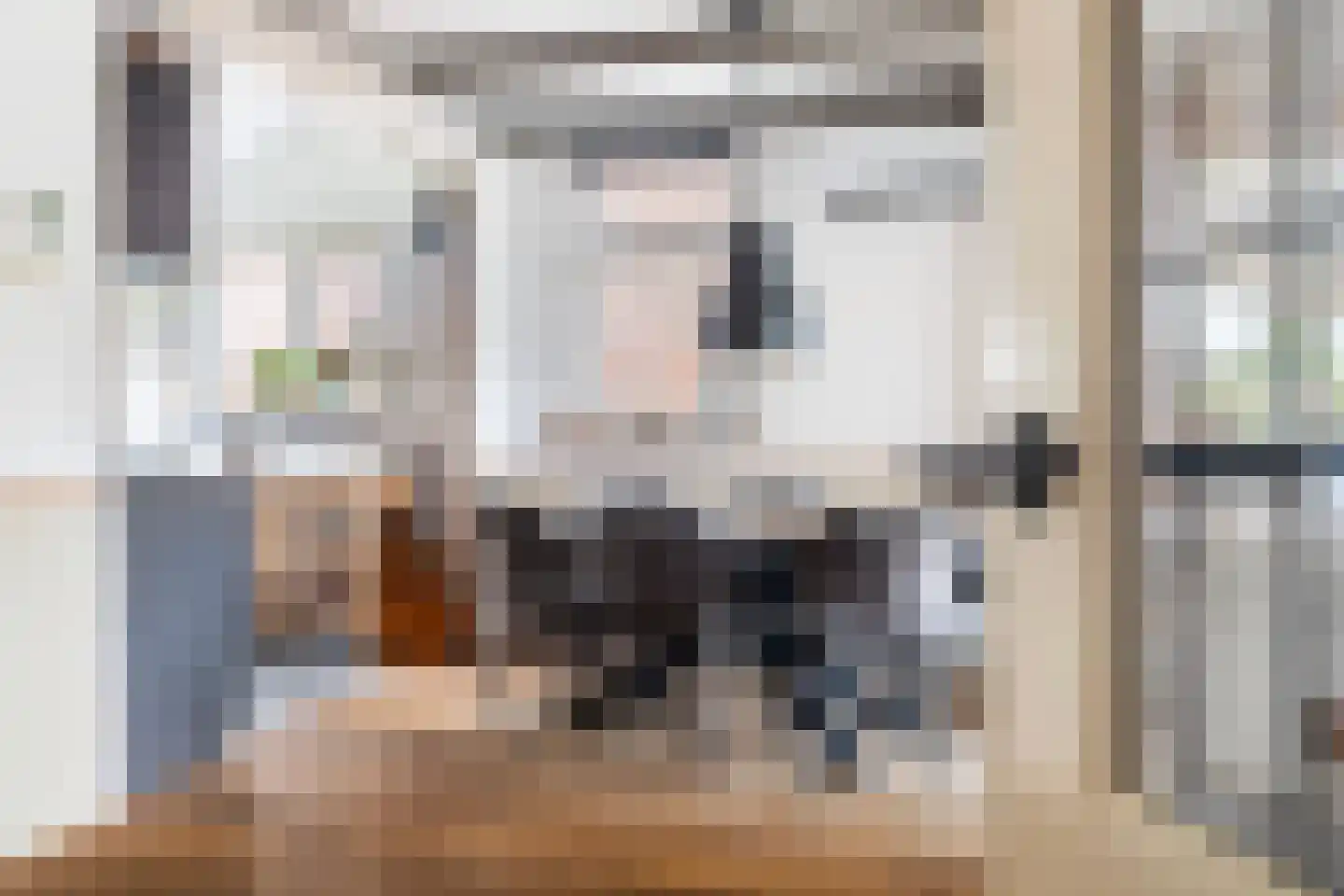 Wânswerterdyk 9 Burdaard thumbnail 14