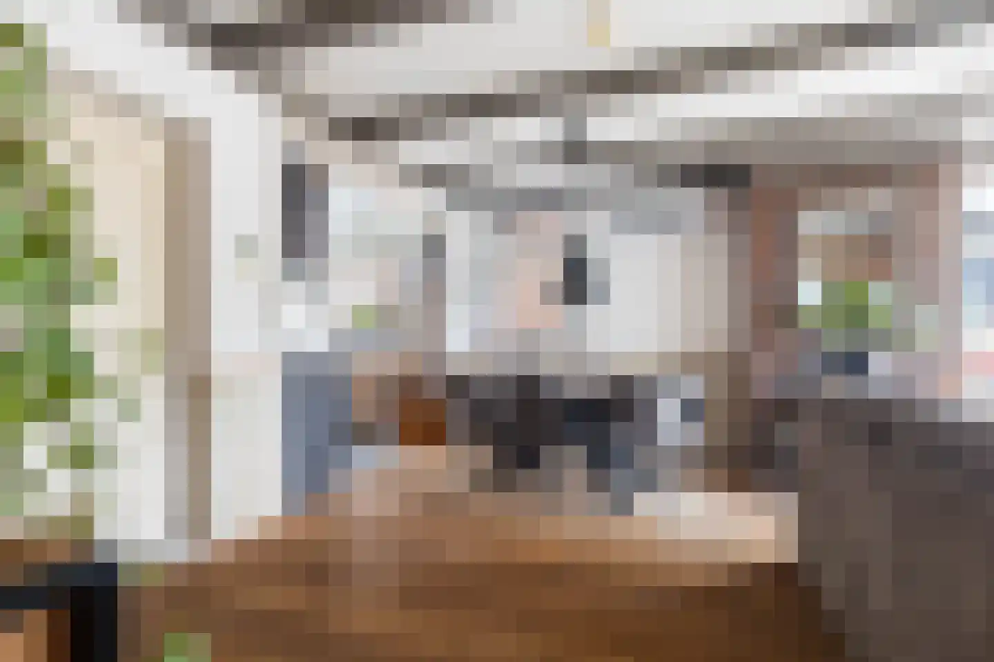 Wânswerterdyk 9 Burdaard thumbnail 15