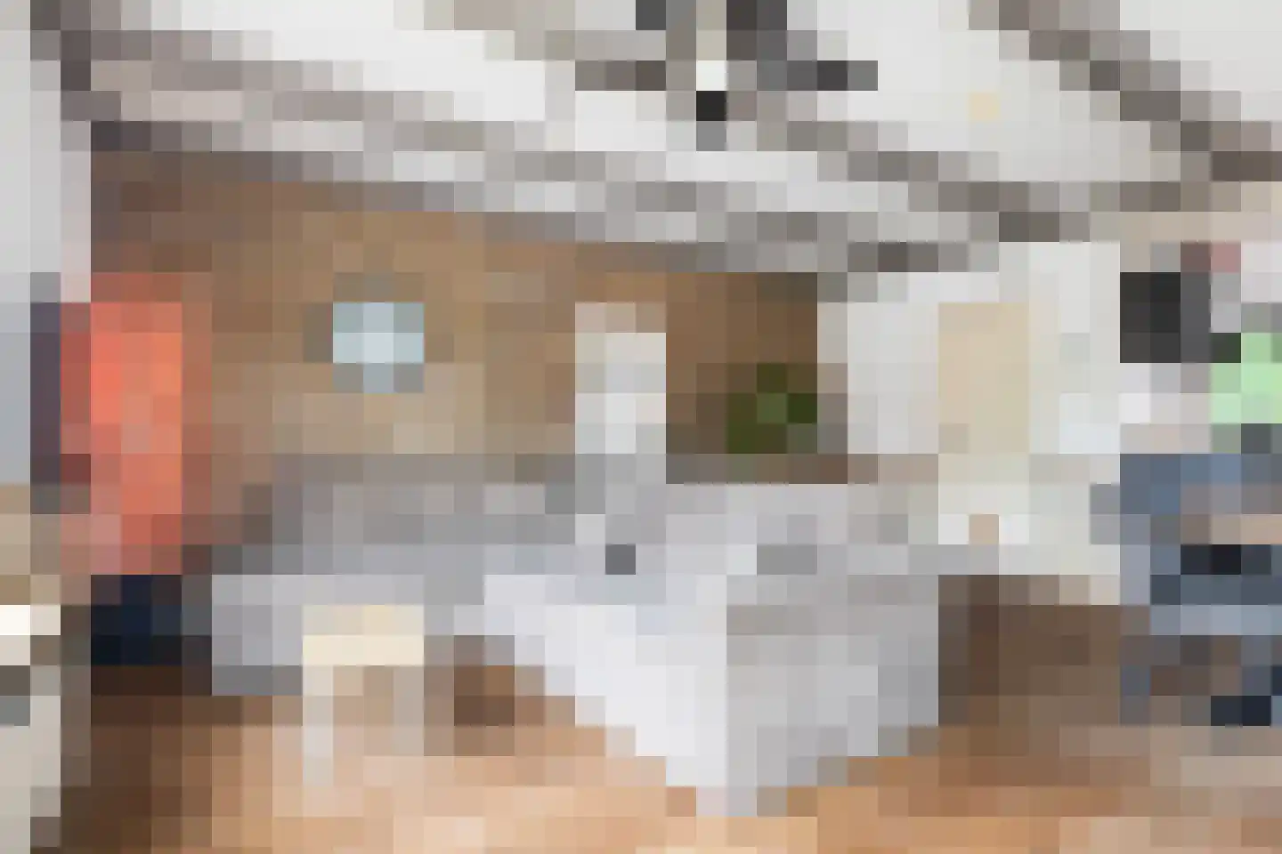 Wânswerterdyk 9 Burdaard thumbnail 16