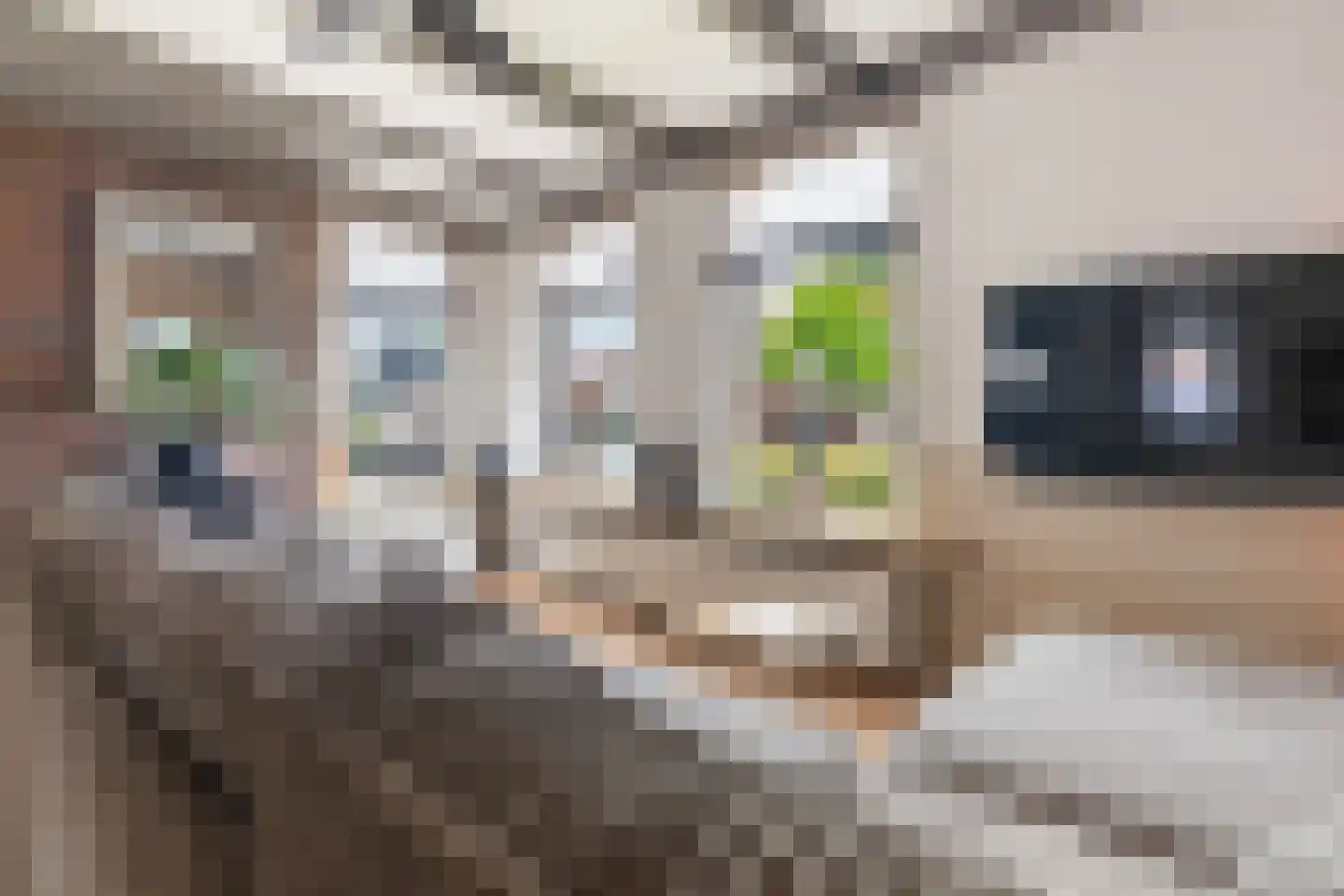 Wânswerterdyk 9 Burdaard thumbnail 17