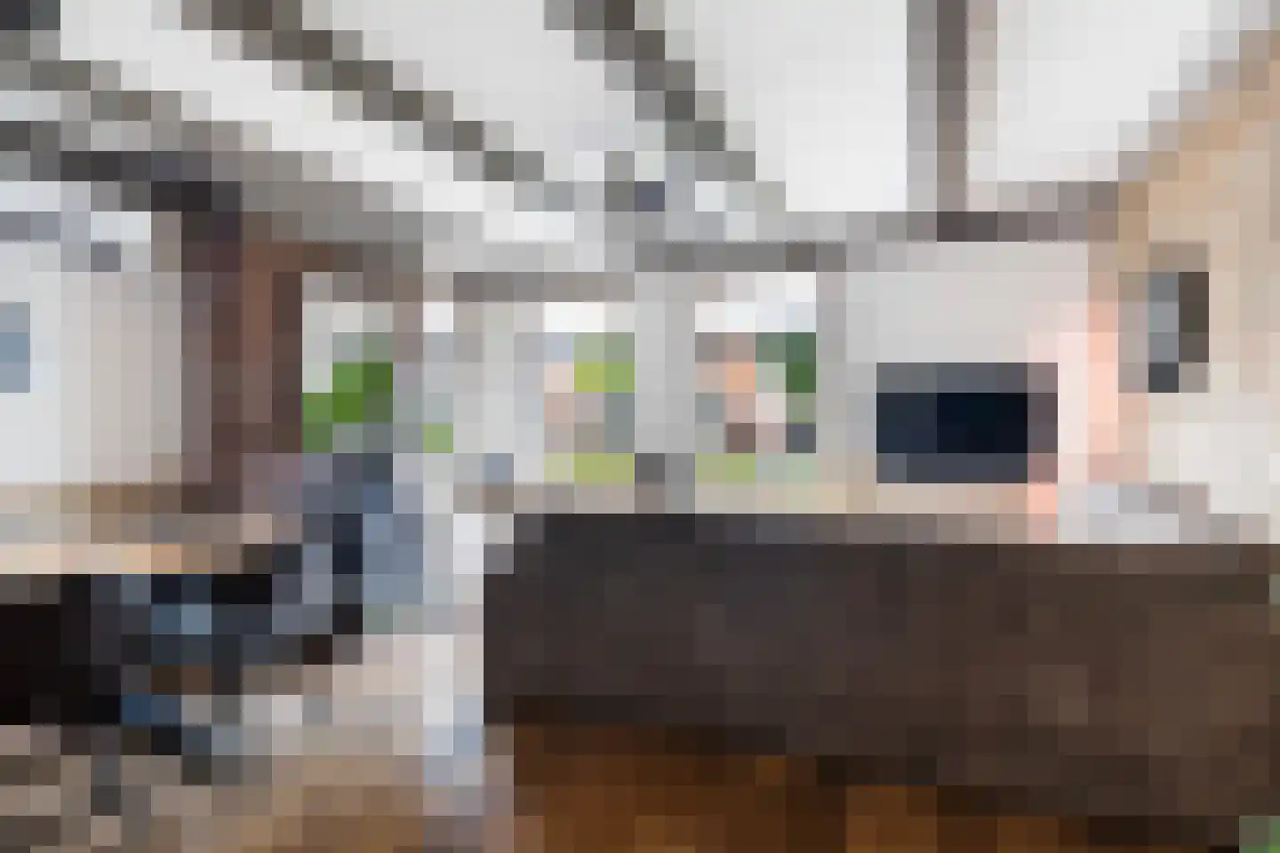 Wânswerterdyk 9 Burdaard foto 2