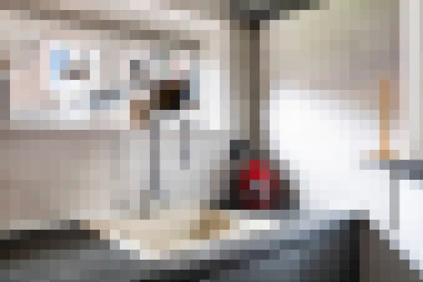 Wânswerterdyk 9 Burdaard thumbnail 20