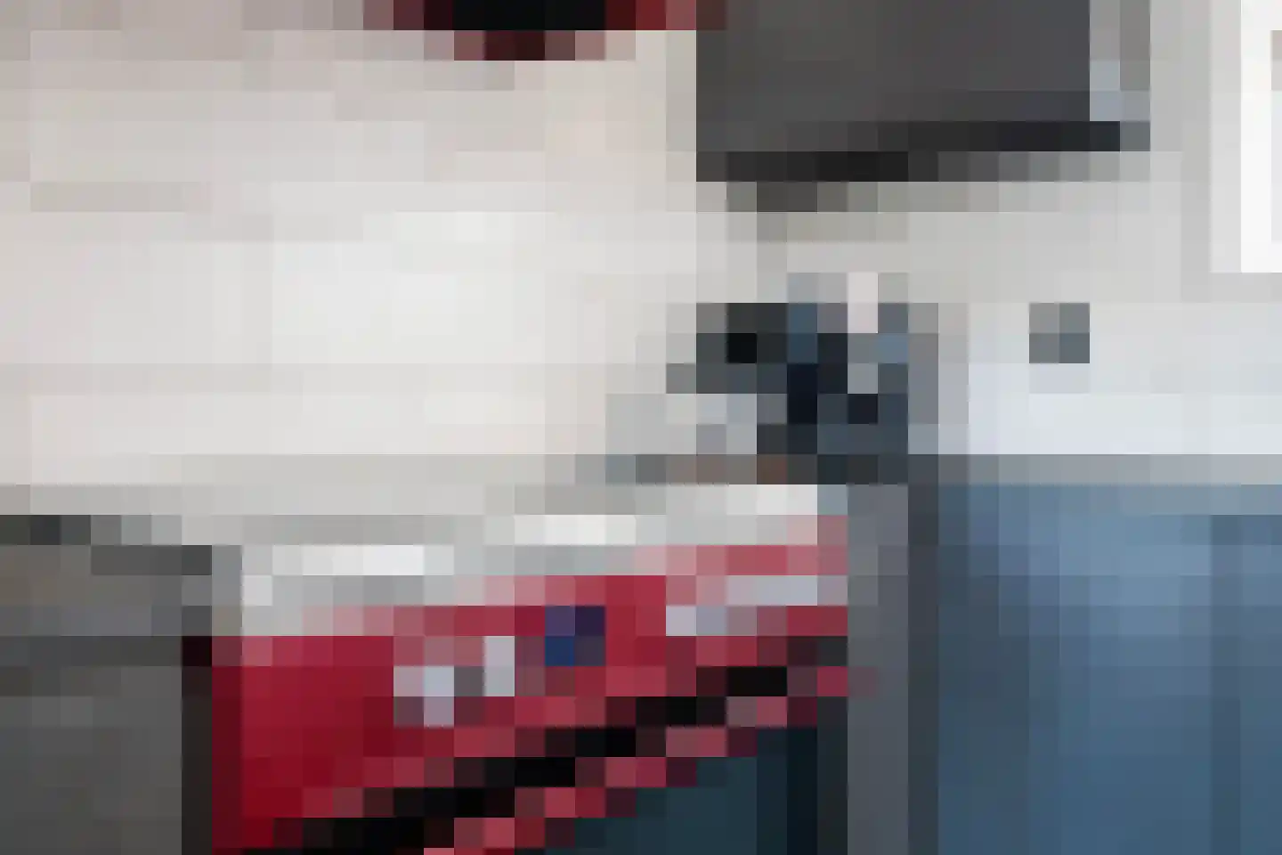 Wânswerterdyk 9 Burdaard thumbnail 21
